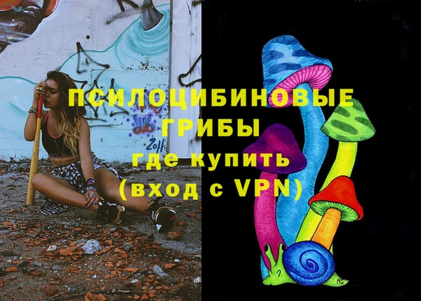 гашик Красноперекопск