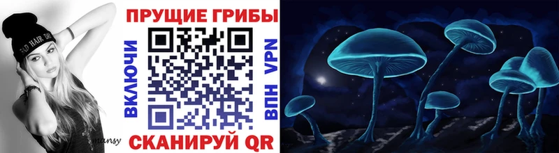 Галлюциногенные грибы прущие грибы  сколько стоит  Ахтырский 